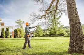 Best Seasonal Cleanup (Spring/Fall)  in Valley Center, CA