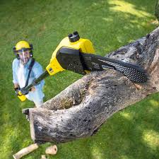 Best Sod Installation  in Valley Center, CA